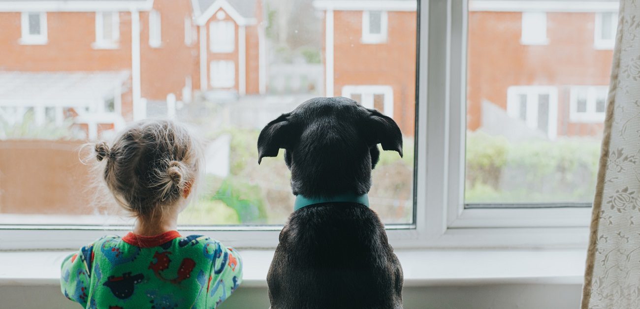 A Young girl and a black dog looking out a window