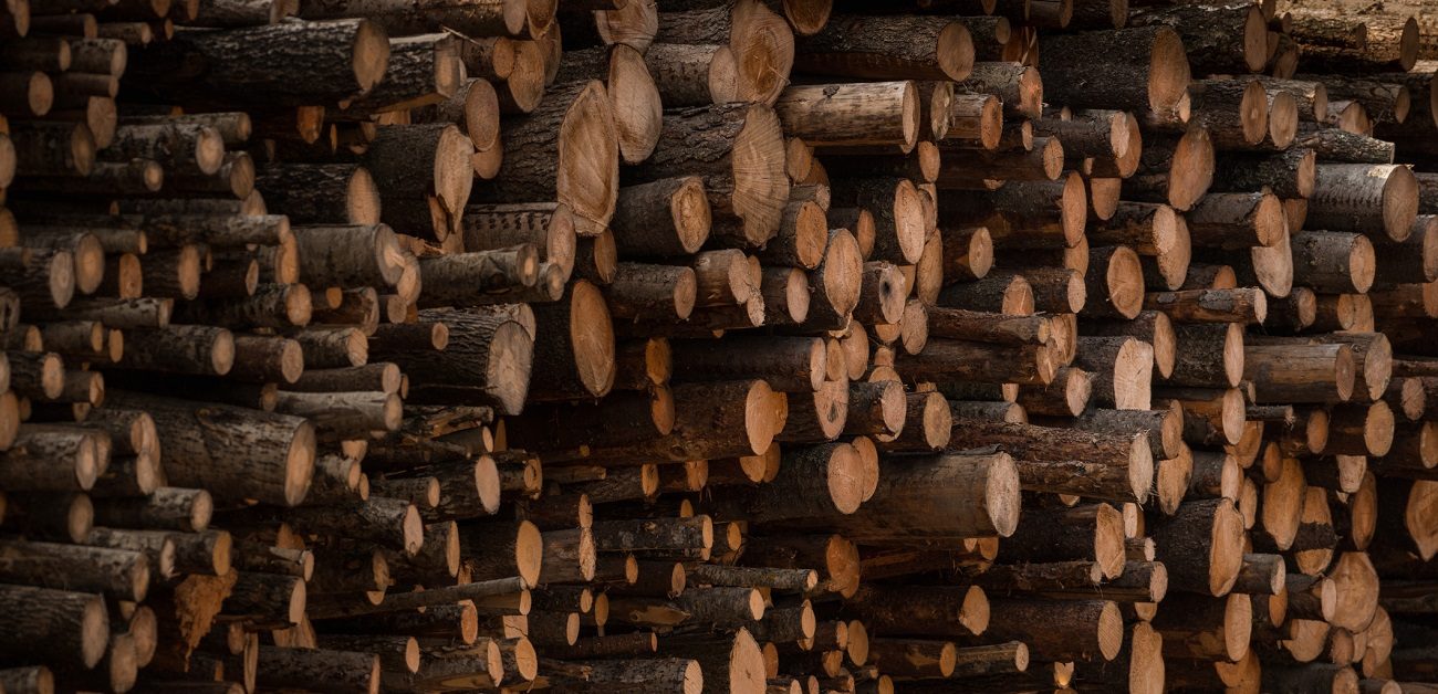 Logs of wood
