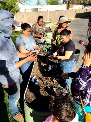 NVAR members build raised plant beds for the community garden.