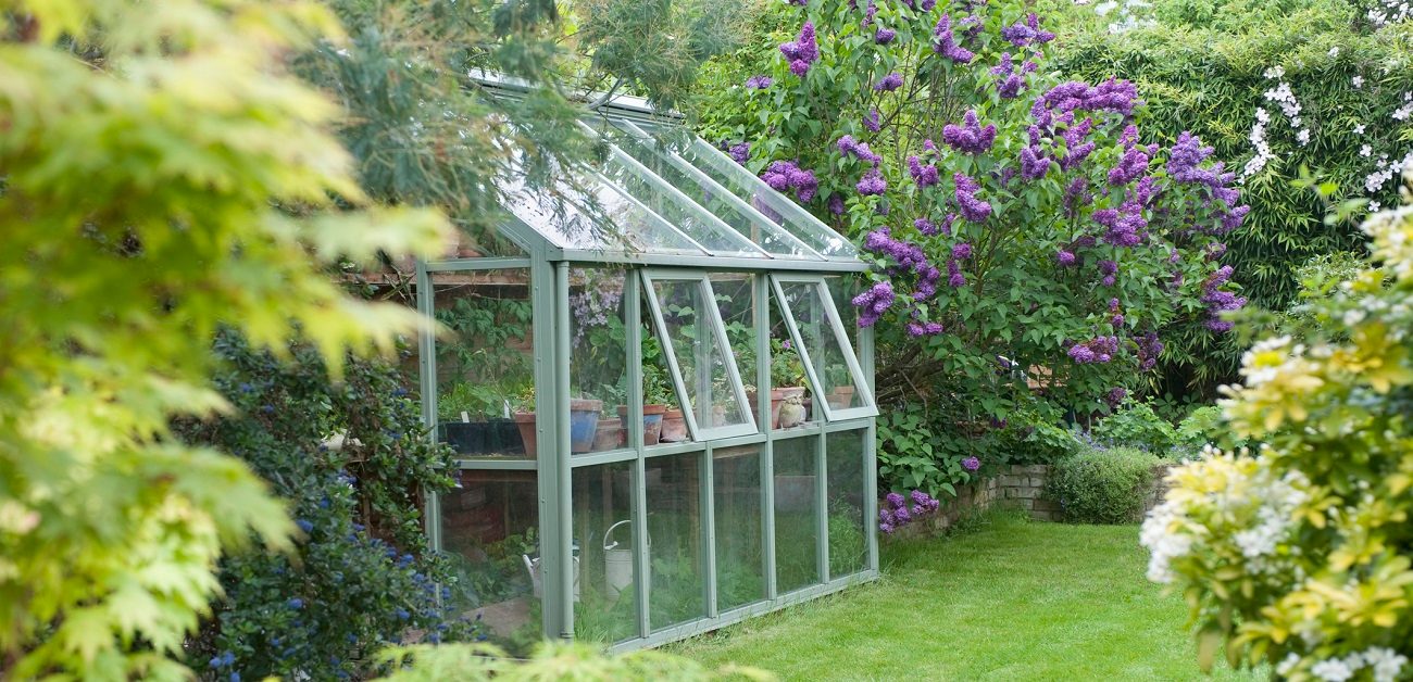 Greenhouse in back garden with open windows