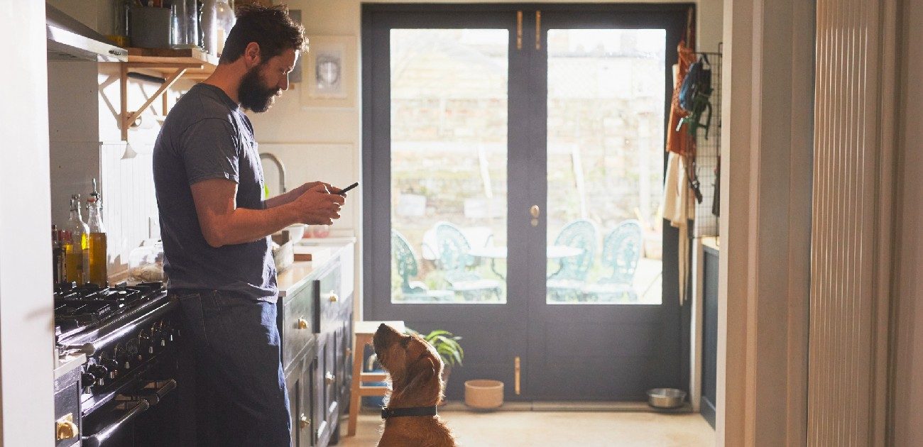 A man stands in a brightly lit room looking at his phone while his dog just in front of him looks up at him.