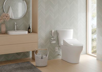 Bidet seat and toilet combination