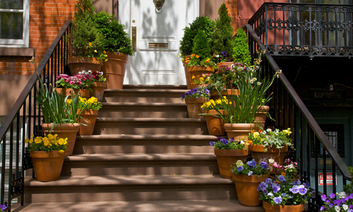 Flowering, potted plants adorn an outdoor staircase