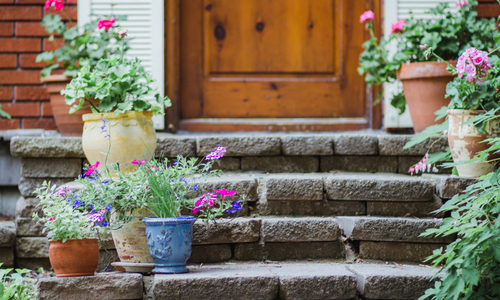 Potted plants on stone steps outside a brown door