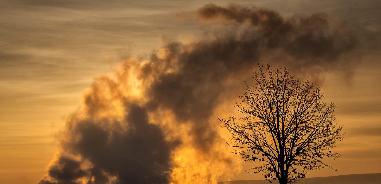 A picture at sunset of the smoke from a fire coming into frame from below, with a silhouetted tree in the background.