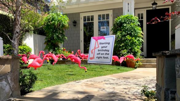 Plastic pink flamingos in front yard