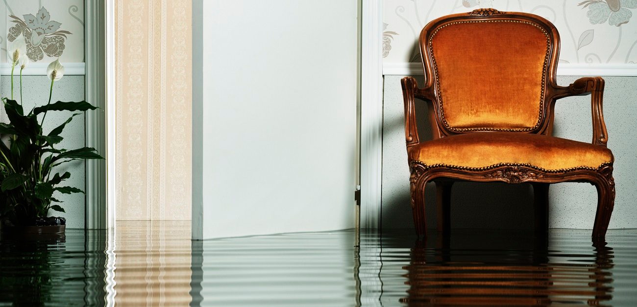 Flooded room with chair and plant