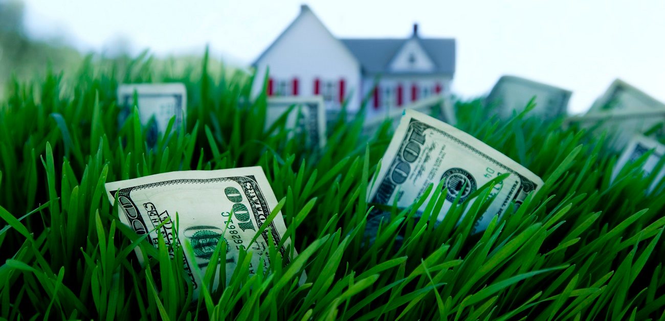 money growing on grass