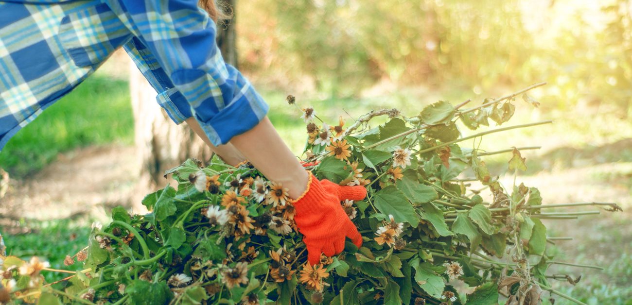 woman cleaning up garden in fall