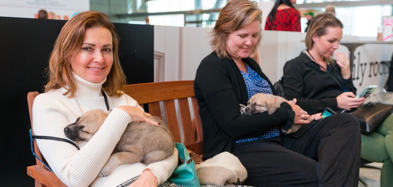 Members hold puppies at the Realtors Conference and Expo in Boston.