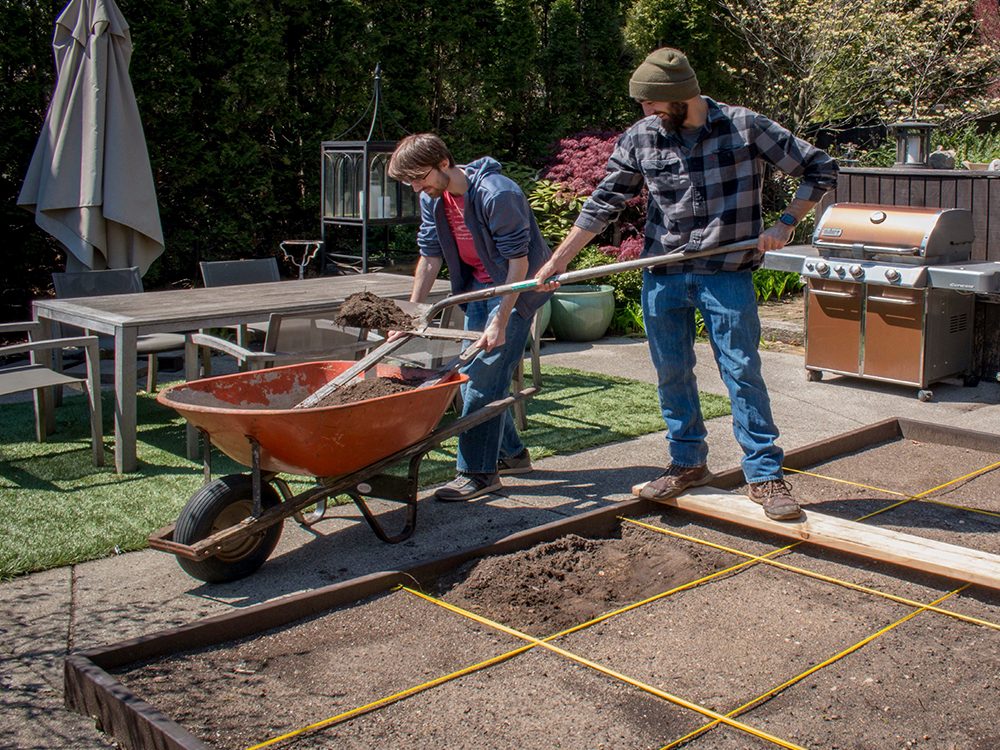 father and son prepare raised vegetable bed